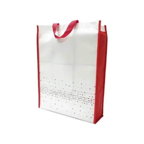 ساک سوزنی ۹۰ گرم