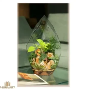 تراریوم دایموند VIP