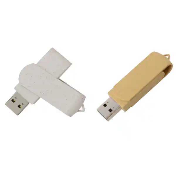flash-D-81 فلش مموری D81