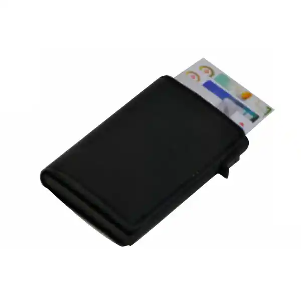 KARD HOLDER-G29-PG جاکارتی G29